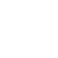 Professional Drivers Icon